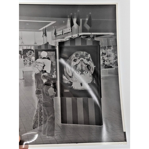 The Wonderful World Of the Circus Ephemera Photos Brochure Negatives Lot - Picture 13 of 14